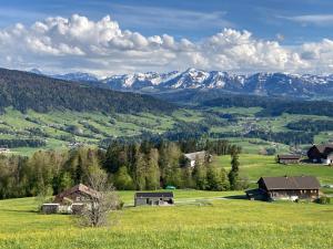 a green field with houses and mountains in the background at Ferienhaus Schönebühl in Oberreute