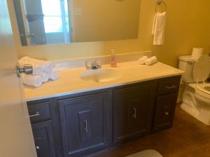 a bathroom with a sink and a mirror and a toilet at 6 Bedroom house 15 minutes from iah airport. in Houston +18 photos