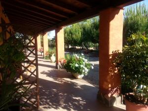 Zahrada ubytování Agriturismo La Barca In Secca