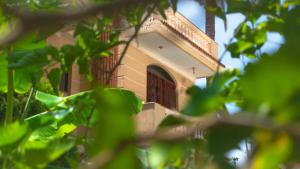 Zahrada ubytování 4 Bedroom superior family villa with private pool, 5 min from beach Abu Talat