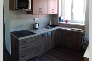 a kitchen with wooden cabinets and a sink at Nová pec centrum.apart. in Nová Pec