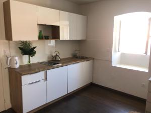 Kuchyňa alebo kuchynka v ubytovaní Apartment Dubravka Iza Roka