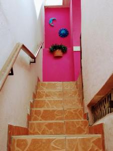 una escalera con una pared rosa y una maceta en Apartamentos osuna, en Mazatlán