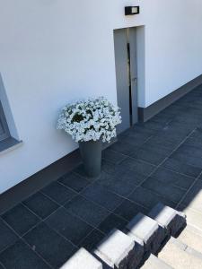 a vase filled with white flowers sitting next to a wall at Apartamenty Gietrzwałd in Gietrzwałd
