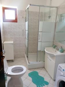 Koupelna v ubytování Apartment Smiley