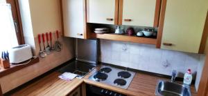 małą kuchnię z kuchenką i zlewem w obiekcie Ferienwohnung w mieście Bad Kleinkirchheim