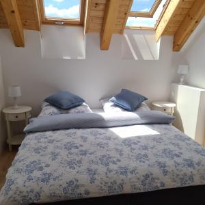 a bedroom with a blue and white bed with two pillows at Pension Sodomkův statek Czap in Skuteč
