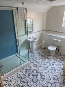 La salle de bains est pourvue d'une douche, de toilettes et d'un lavabo. dans l'établissement Fox and Hounds Apartment, à Willingham