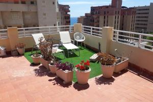 a balcony with potted plants on a roof at Aurora BeachHouse 300m from the beach with large beaitiful terrace in Arenales del Sol