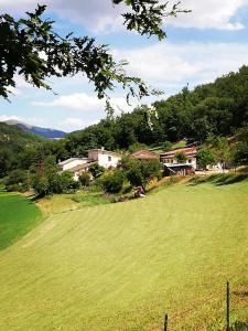 un gran campo de hierba con casas en el fondo en Agriturismo Casale Sant'Antonio, en Cascia