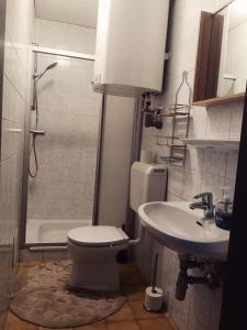 a bathroom with a toilet and a sink and a shower at Haus Im Grünen in Villach