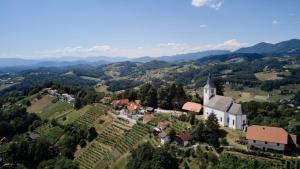Pemandangan dari udara bagi Vineyard Paradise Senica