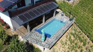 an overhead view of a swimming pool with solar panels at Vineyard Paradise Senica in Dramlje