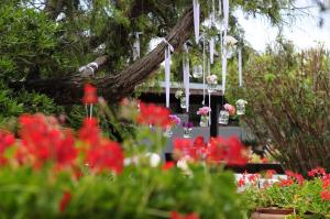 een tuin met rode bloemen en witte kroonluchters bij Hotel Le Dune in Sabaudia