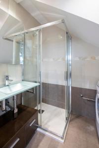 a glass shower in a bathroom with a sink at LUXURY DUPLEX PENTHOUSE WITH TERRACE-OLD TOWN in Donostia-San Sebastián +14 photos