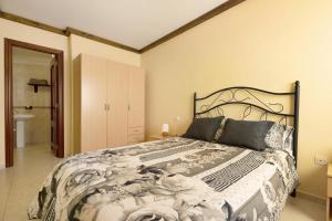 a bedroom with a large bed and a bathroom at Apartamento Vistas de Icod in Icod de los Vinos