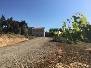 Fotografie z fotogalerie ubytování Agriturismo La Casina nel Vigneto v destinaci Larciano