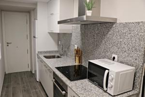 een keuken met een aanrecht met een magnetron bij Apartamentos Credencial in Sarria