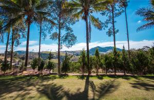 a group of palm trees in a park with a view at Guarany Eco Resort in Monte Sião