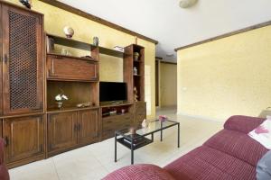un soggiorno con divano e TV di Apartamento Vistas de Icod a Icod de los Vinos