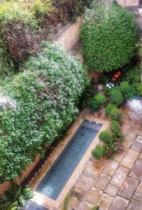 an overhead view of a pond in a garden with plants at Casa del Aljibe in Granada
