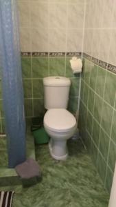 a bathroom with a white toilet in a green tiled bathroom at Svetlana in Lazarevskoye