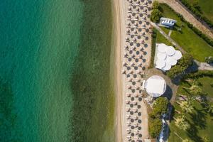 una vista aerea di una spiaggia con porto turistico e oceano di Kassandra Palace Seaside Resort a Kriopigi