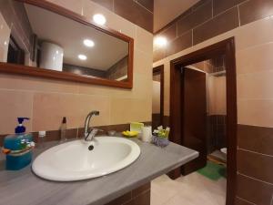 een badkamer met een wastafel en een spiegel bij Petra Cabin Hostel in Wadi Musa
