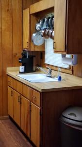 a kitchen with a sink and a toilet at Cozy Creek Cottages in Maggie Valley +58 photos