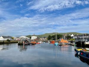 a group of boats are docked in a harbor at Number 53 in Girvan