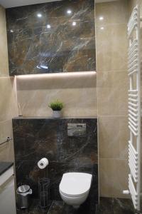 Ένα μπάνιο στο Nowy Apartament Zygmunta Premium +27 φωτογραφίες