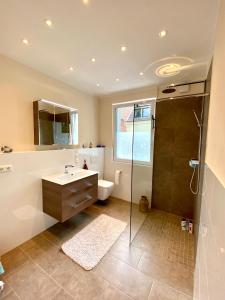 a bathroom with a shower and a toilet and a sink at Apartment am Schloss in Brühl