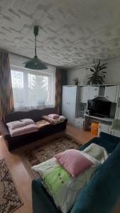 Willa Rosa في تشيخوتشينيك: غرفة معيشة مع أريكة وتلفزيون وغرفة معيشة