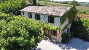 eine Luftansicht eines kleinen Hauses mit Reben in der Unterkunft Casa Oleandro in Fratte Rosa in San Lorenzo in Campo