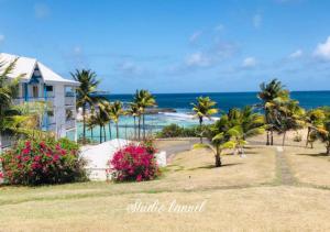 een huis aan het strand met palmbomen en de oceaan bij Charmant studio Kannèl au MANGANAO vue sur mer et panier d'accueil offert in Saint-François