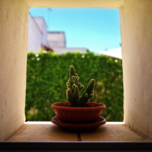 Galería fotográfica de Le Strazzigne en Marittima