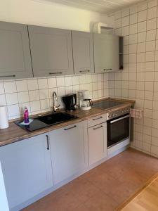 Кухня или мини-кухня в Ferienwohnung-in-Stadtmitte
