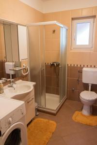 ein Bad mit einer Dusche, einem WC und einem Waschbecken in der Unterkunft Apartment in Mundanije with balcony, air conditioning, WiFi, washing machine (4912-3) in Mundanije