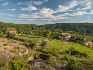 Naturlandskabet i nærheden af lejligheden