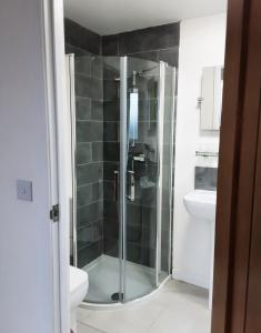 a bathroom with a shower and a toilet and a sink at Snoozefrome in Frome