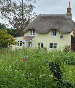 uma casa amarela com um telhado de palha e um campo de flores em Primrose Cottage em Moreton
