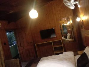 a bedroom with a bed and a tv and a mirror at Highlander Cottage for rent in Lansdowne