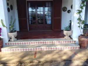 卡拉恩布拉內斯的住宿－SES SIVINES，盆栽植物屋的前门