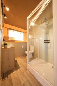 un bagno con doccia e WC di Camping Fayón Fishing a Fayón