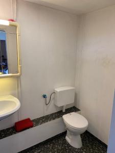 a bathroom with a white toilet and a sink at Zimmervermietung Deichmann in Landscheide