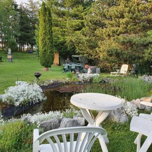 a table and chairs in a garden with a pond at Schau ins Land in Elbingerode