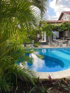 uma piscina com uma palmeira em frente a uma casa em Casa Beira Mar Itamaracá em Itamaracá