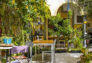 Um jardim em Dar Souad