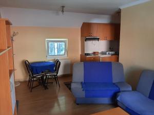 Kuchyň nebo kuchyňský kout v ubytování Apartment MK + 31 fotografií