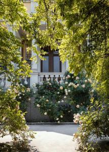 a building with a bunch of flowers in front of it at Villa Maraldo 1927 in Orgnese